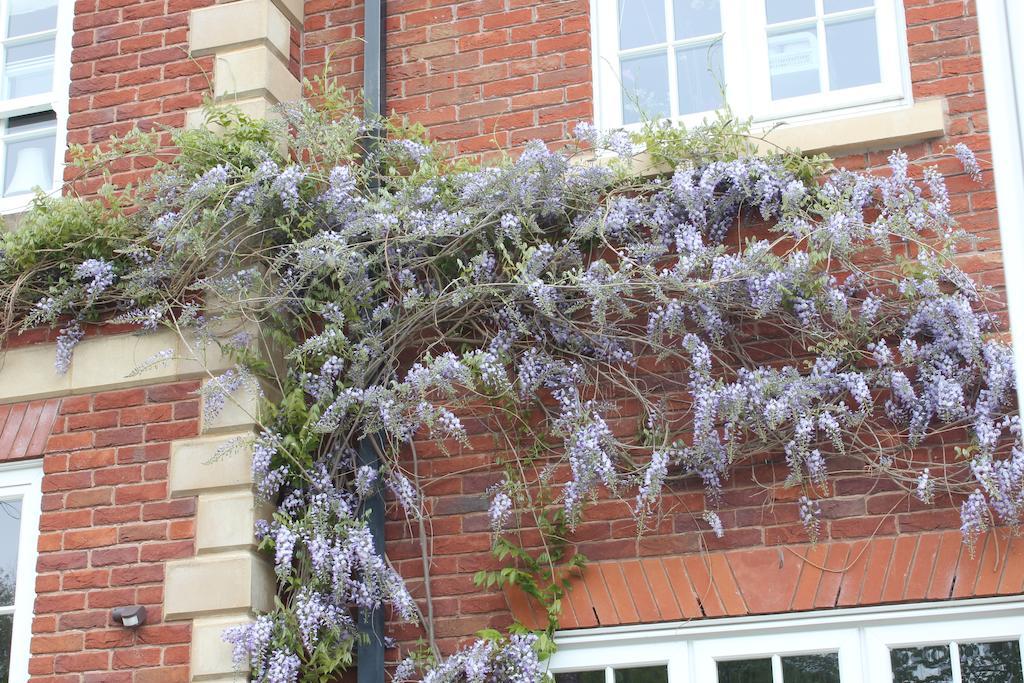 Austons Down Farm B&B Claverdon Extérieur photo